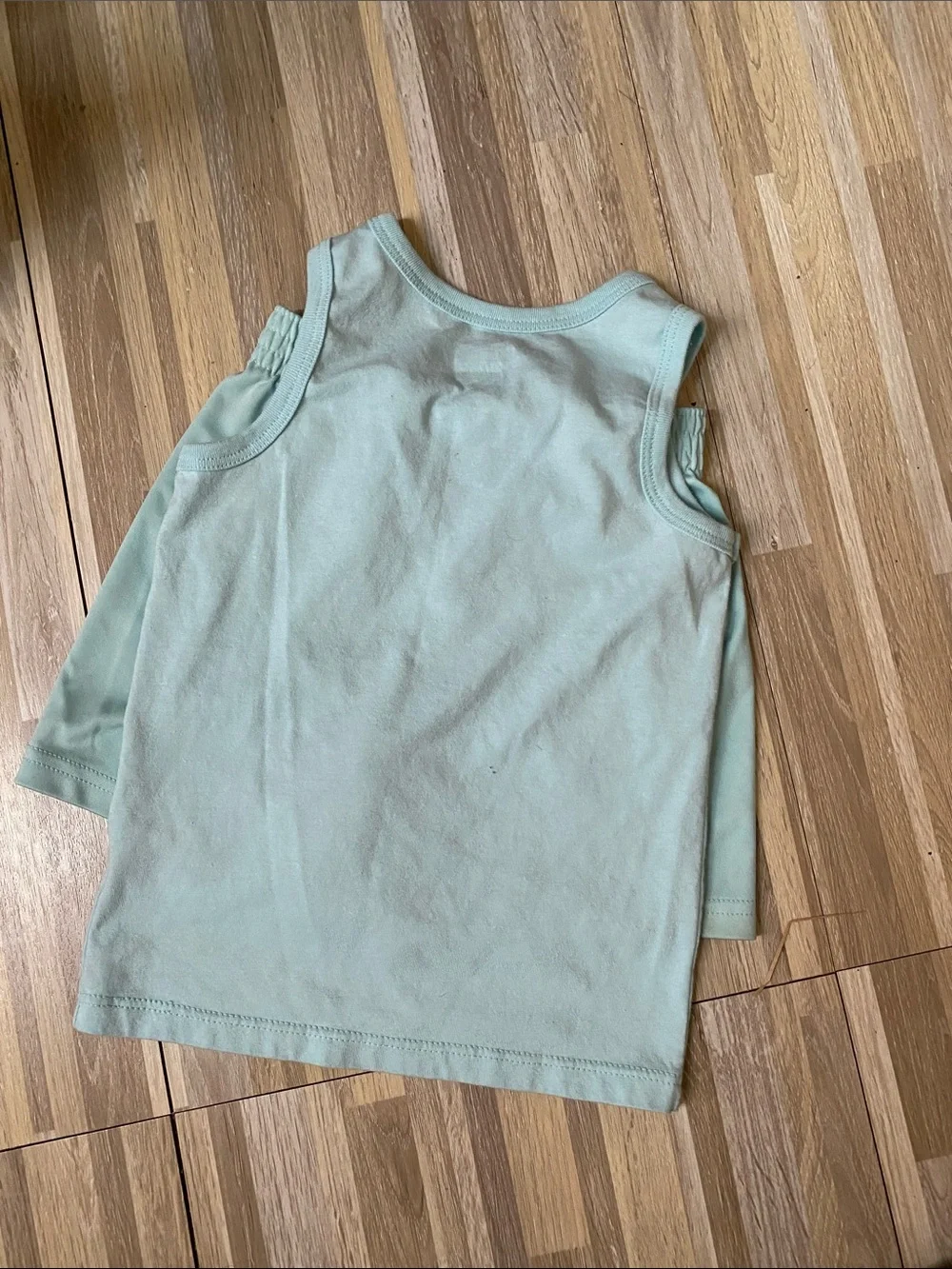 GARANIMALS 2 piece short set size toddler boys 2T